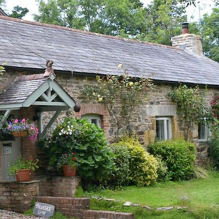Trewassick Barn Bed and Breakfast New Quay Εξωτερικό φωτογραφία